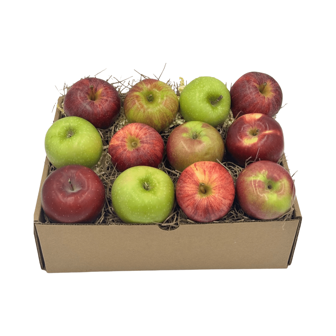 apple ca870セット apple ca870セット apple ca870セット マルゼン,CA870シリーズ