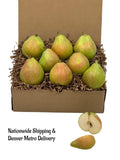 BOX1 - Honey Gold Pears 8 CT - Honey Bear Fruit Baskets