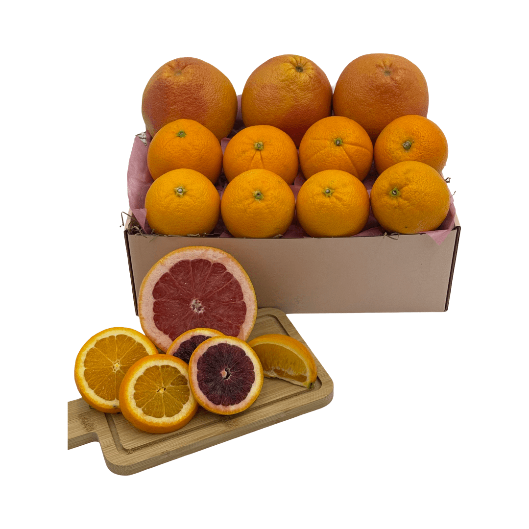 BOX12-Get Well Vitamin C Gift – Honey Bear Fruit Baskets