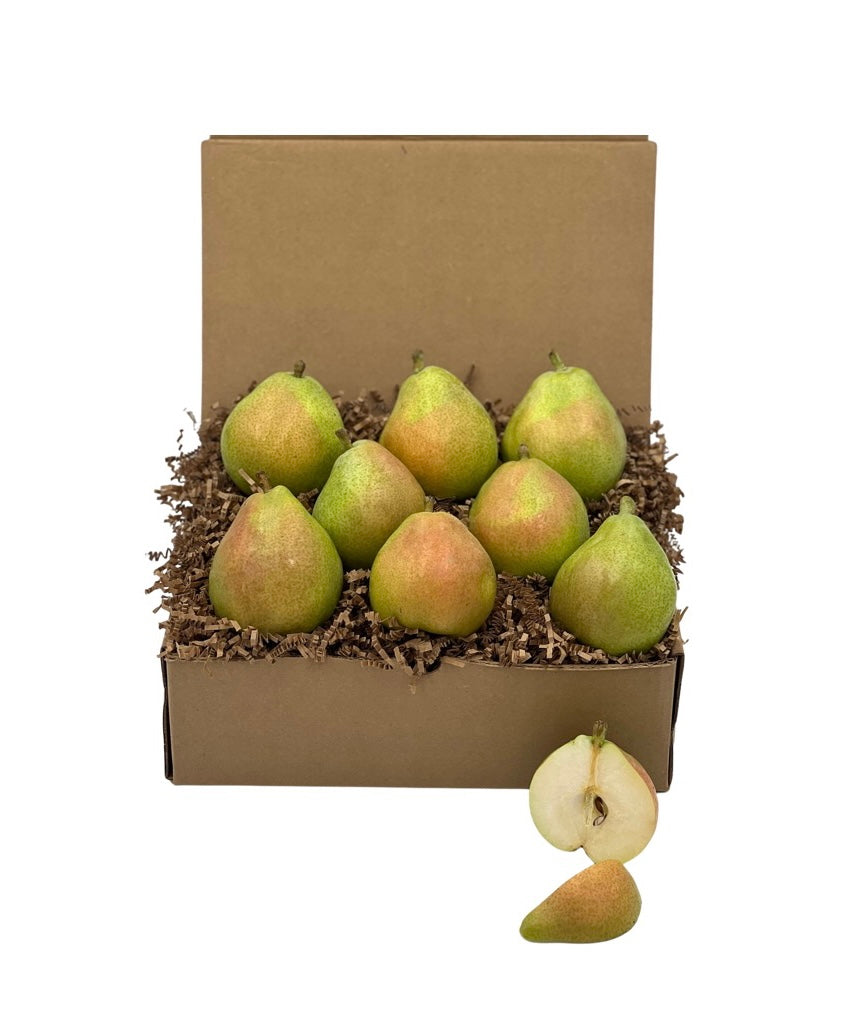 BOX1-Comice Pears 8 CT - Honey Bear Fruit Baskets