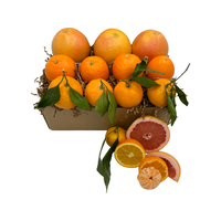 BOX5- Winter Citrus Trio 11CT - Honey Bear Fruit Baskets